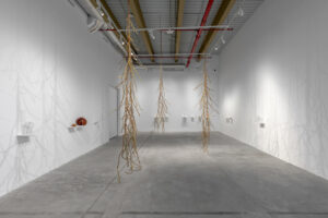 NIKA Project Space